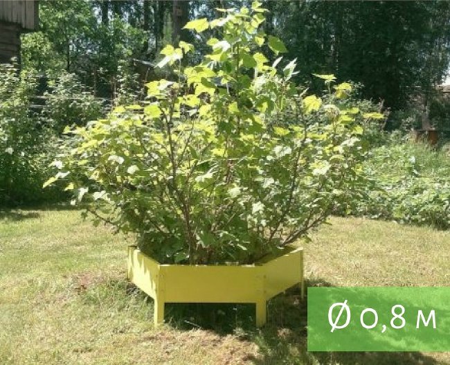 Клумба "Сота" 400 в Череповце