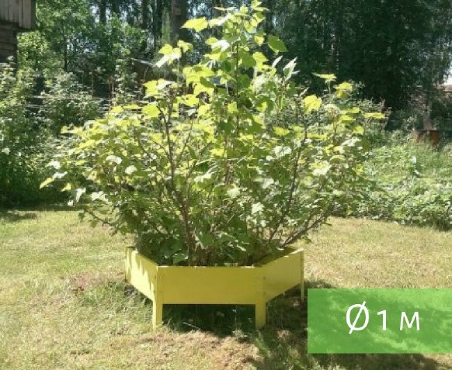 Клумба "Сота" 500 в Череповце Клумба "Сота" 500 в Череповце