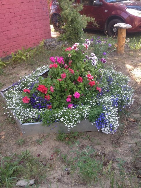 Клумба "Сота" 400 оцинкованная в Череповце